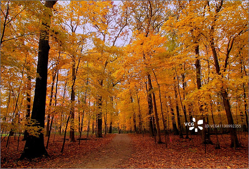 美丽的秋色小路图片素材