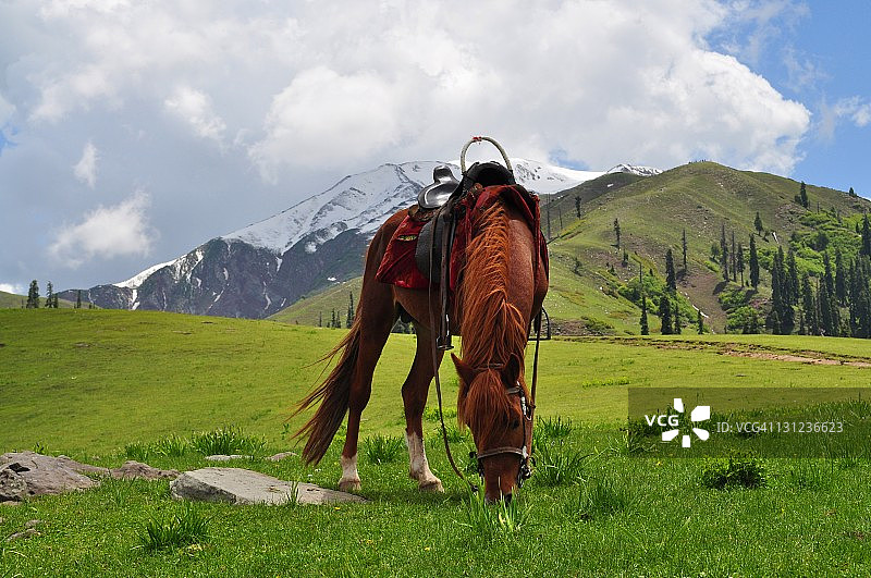 巴基斯坦舒格兰附近的斯里帕耶图片素材