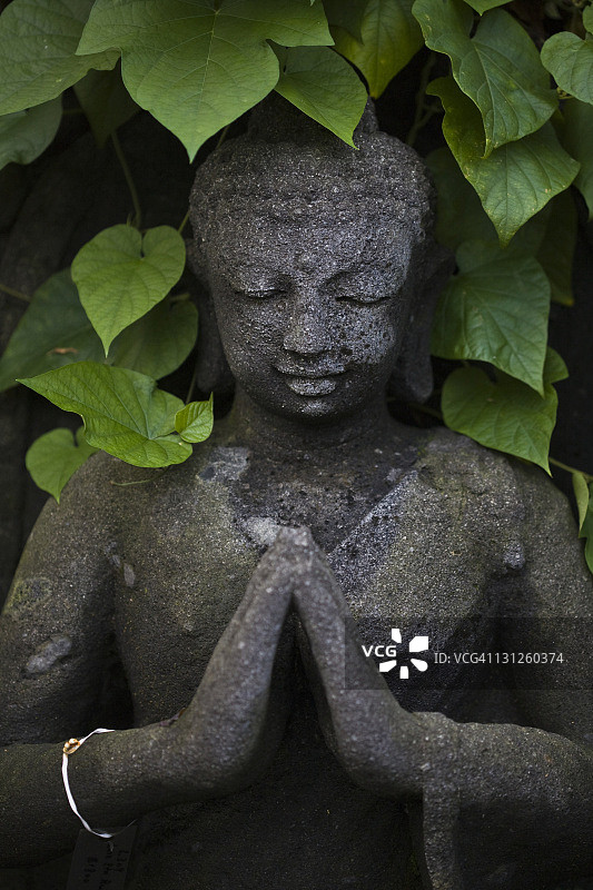 在绿色植物中祈祷的佛像图片素材