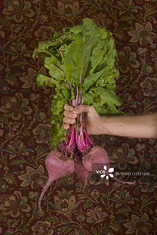 甜菜根图片素材