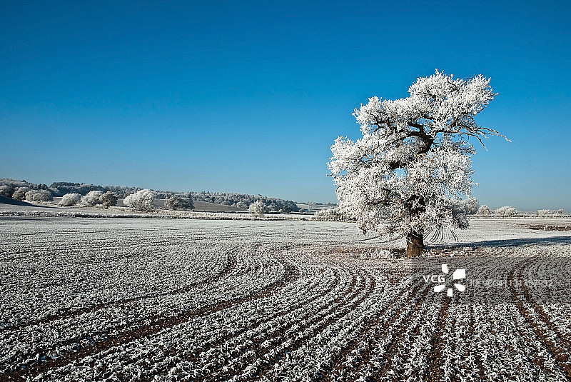 冬季霜冻图片素材