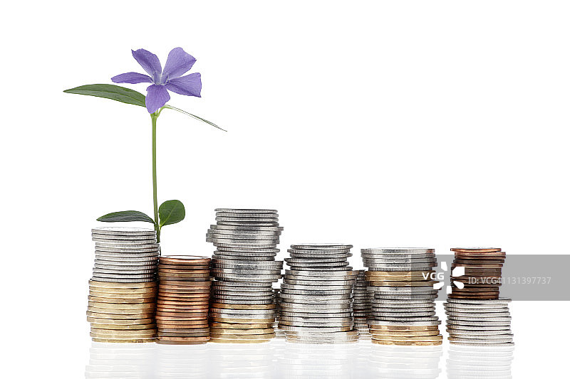 硬币和花图片素材