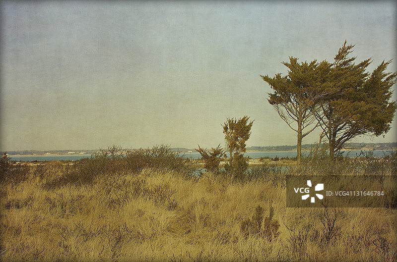 冬季海滩图片素材