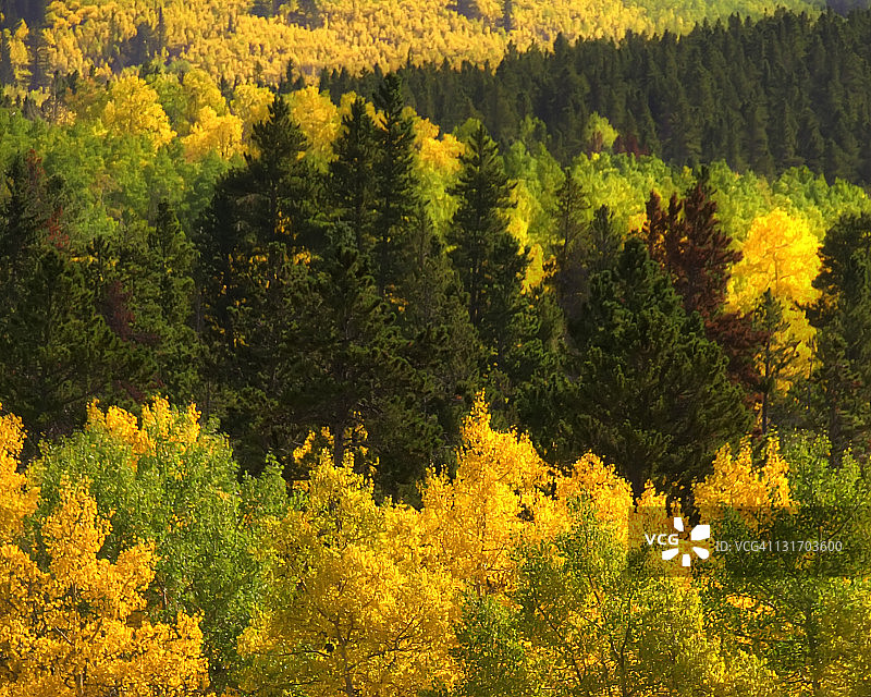 秋天的颜色图片素材