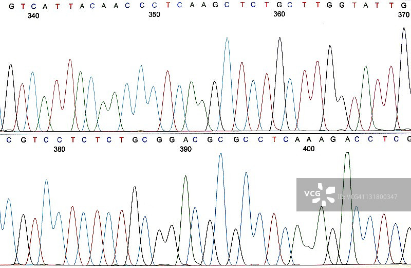 DNA序列色谱图打印输出图片素材
