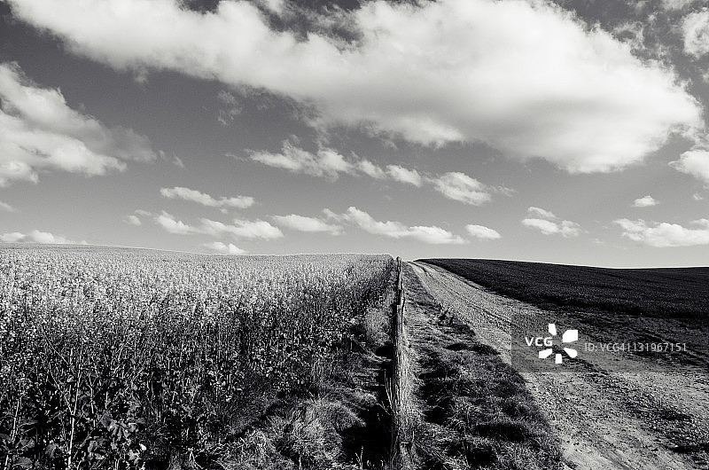 农田围栏线图案图片素材
