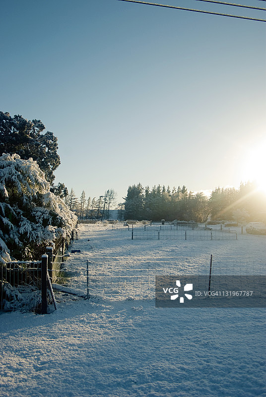 宁静的雪天早晨图片素材