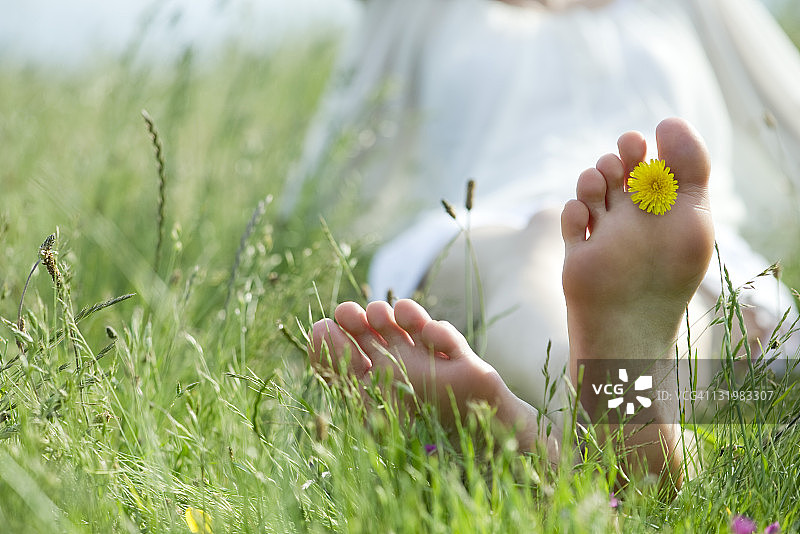 赤脚女人坐在草地上，脚趾间夹着蒲公英花图片素材