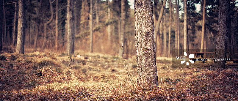 野餐长椅图片素材