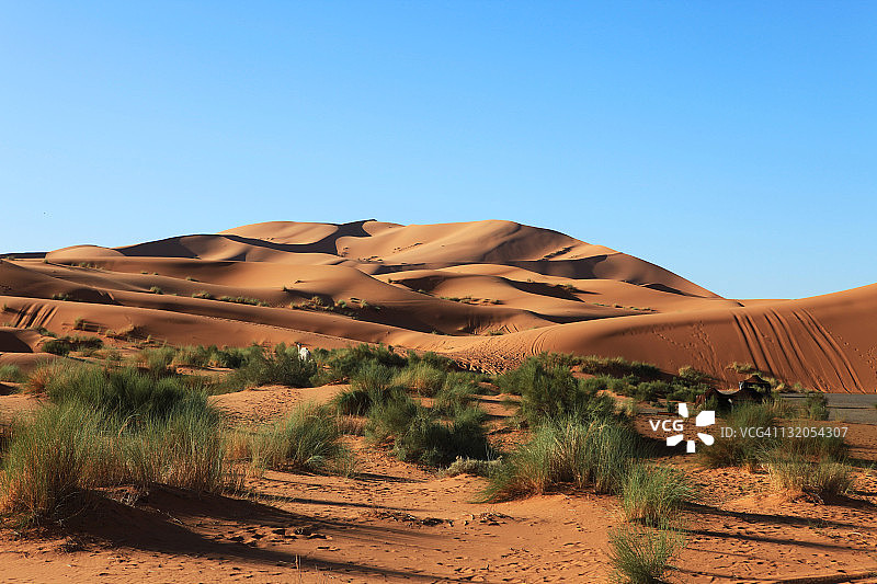 撒哈拉沙漠的沙丘、骆驼和帐篷，摩洛哥，非洲图片素材