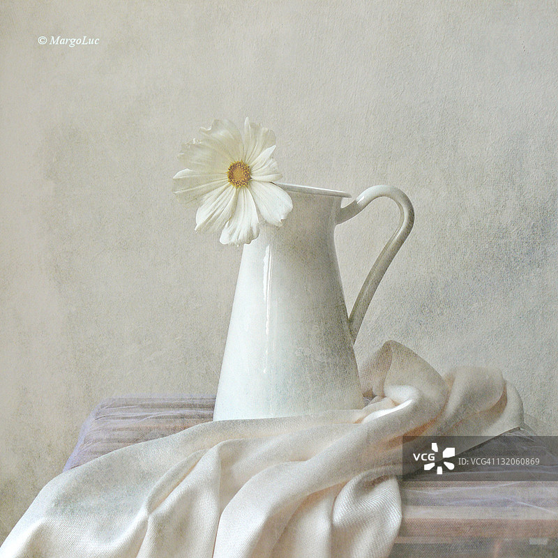 白色花朵静物图片素材