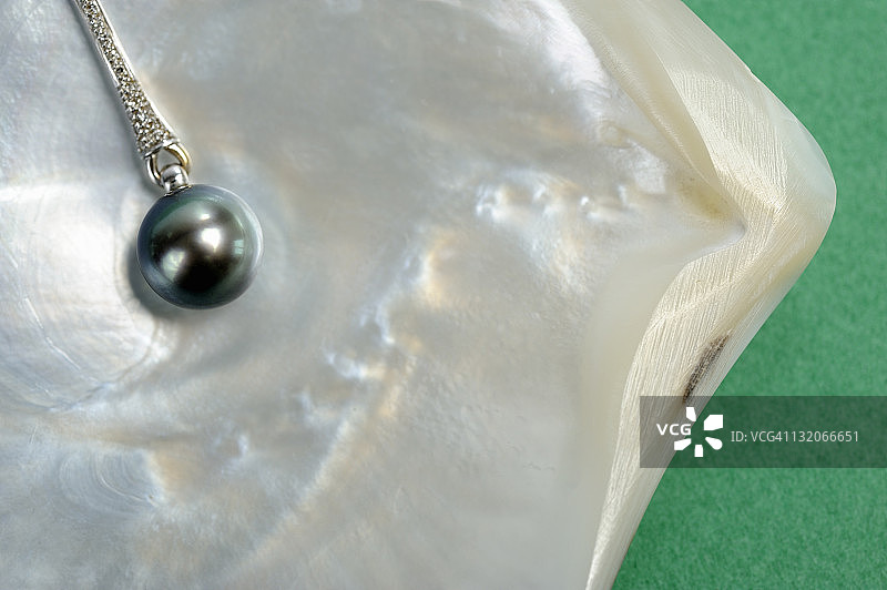 牡蛎壳上的黑色珍珠项链图片素材
