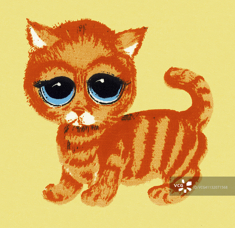 大眼睛的猫图片素材