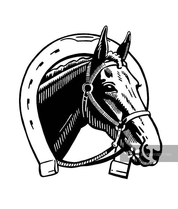 马和马蹄铁图片素材