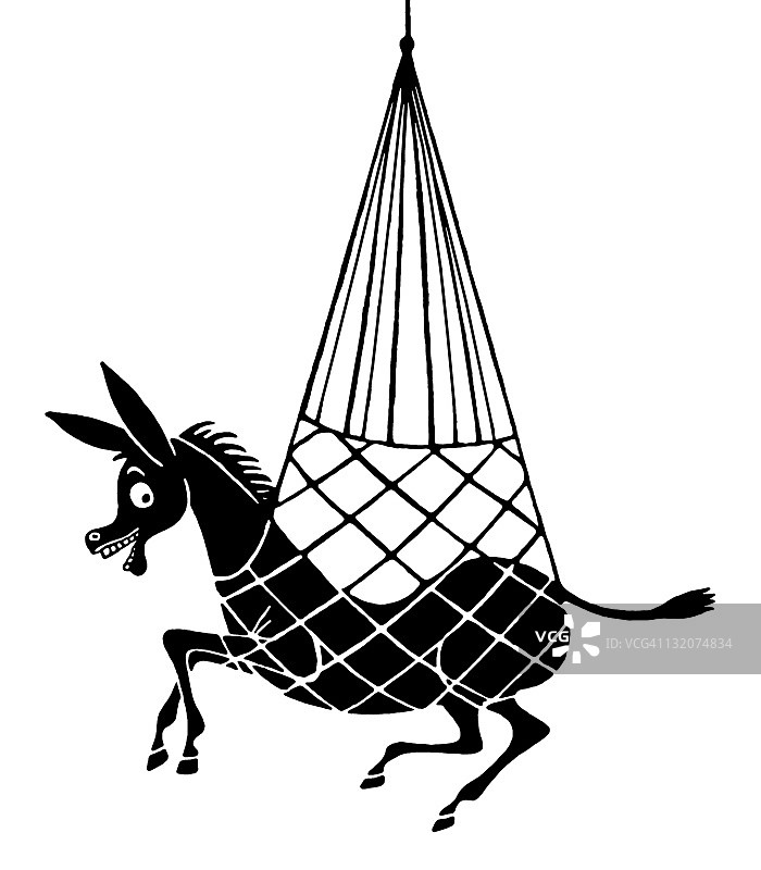 被网困住的驴图片素材