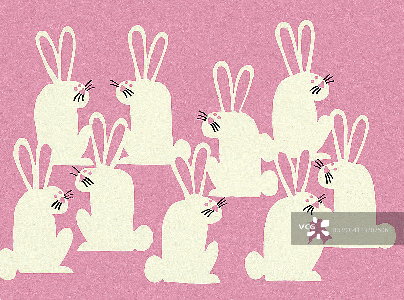 一群兔子图片素材
