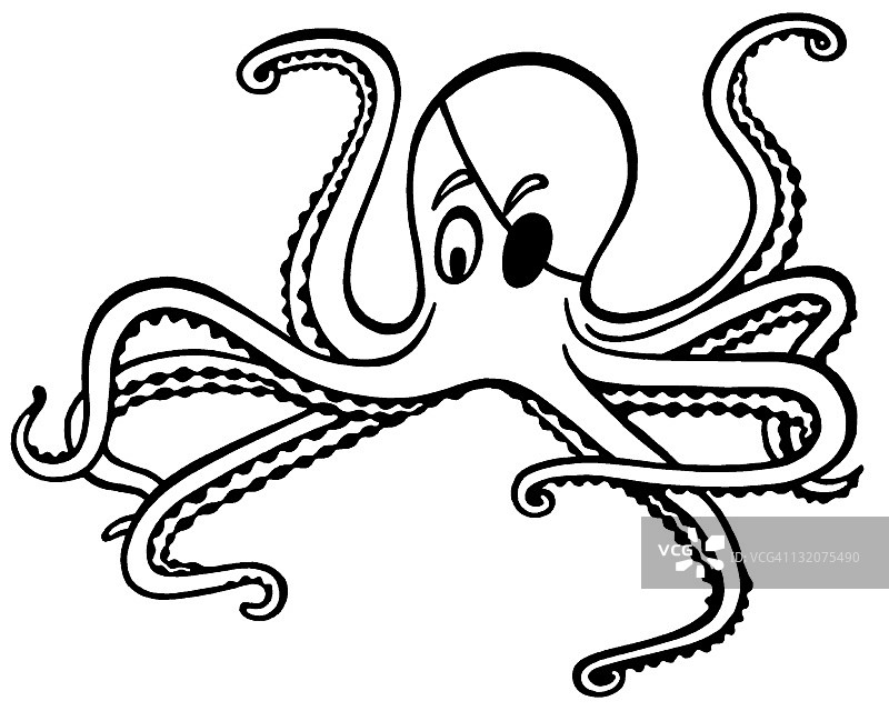 海盗章鱼图片素材