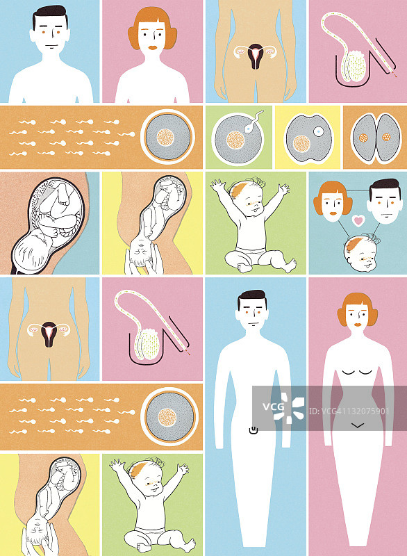 婴儿的诞生过程图片素材