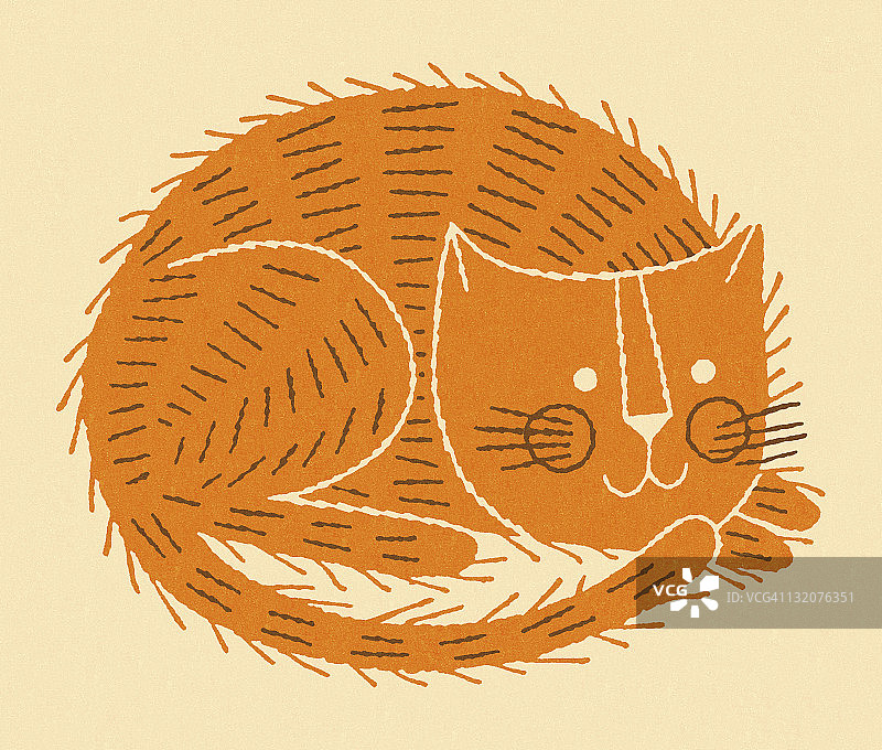 橙色的猫图片素材