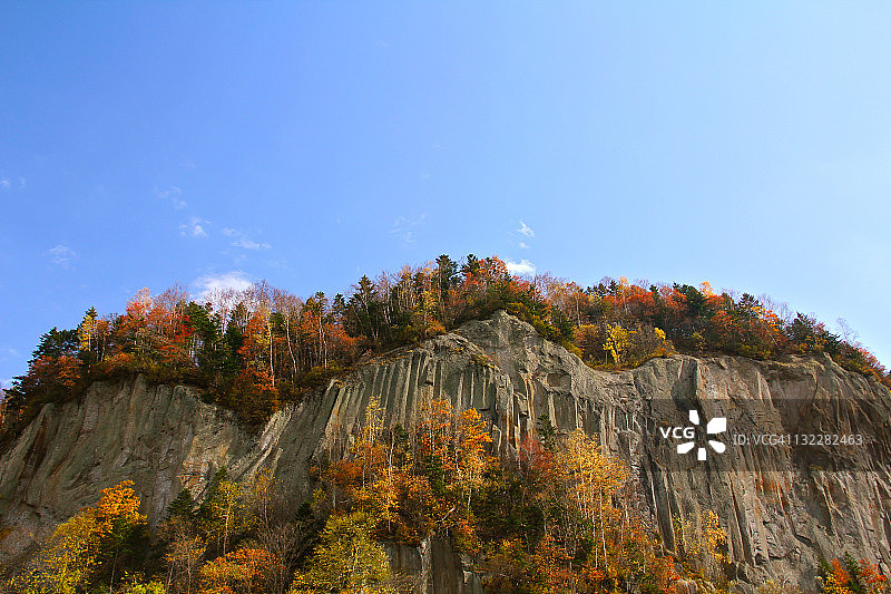 陡峭的悬崖和树叶图片素材