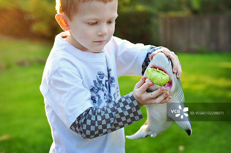 男孩玩橡皮泥和玩具鲨鱼图片素材