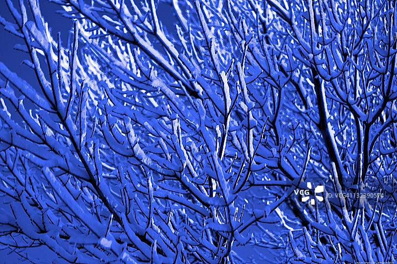 清晨的蓝色图片素材