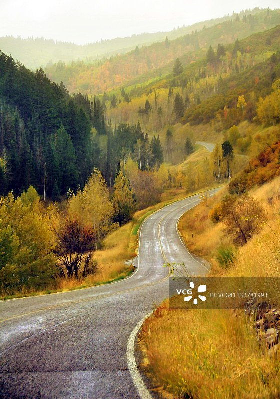 有秋树的曲线山路图片素材
