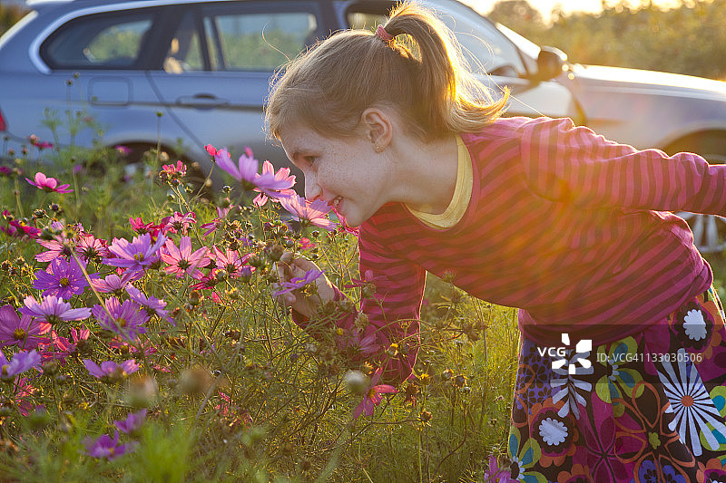 闻鲜花香味的年轻女孩图片素材