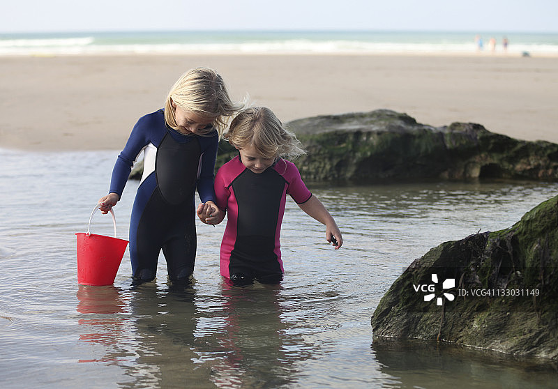 姐妹寻找鲨鱼图片素材