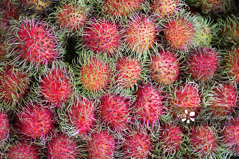 红毛丹图片素材