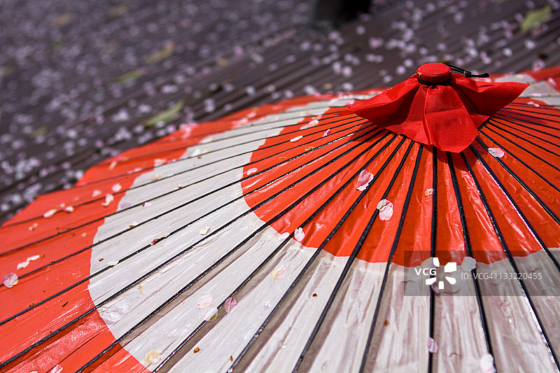 春天的伞图片素材