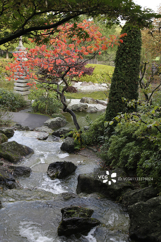 日本秋季花园图片素材
