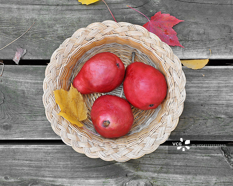 红色安茹梨图片素材