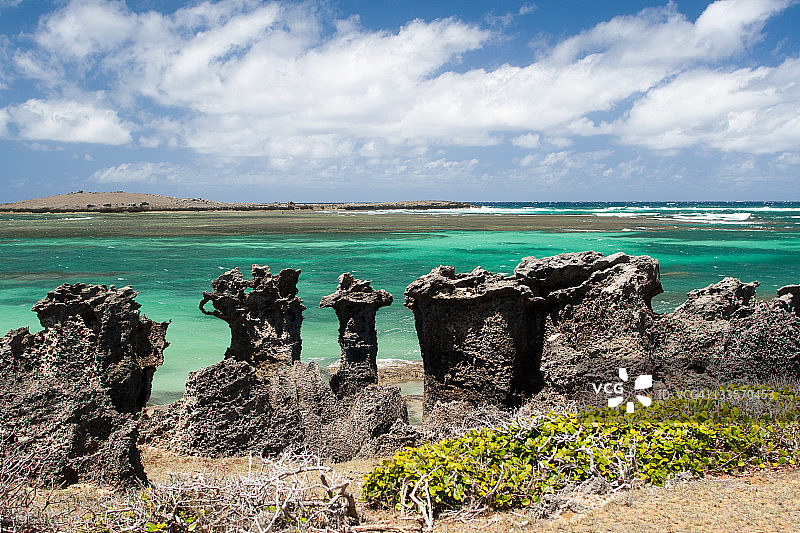 马达加斯加的珊瑚礁化石图片素材