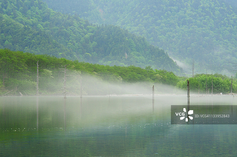 大正池图片素材