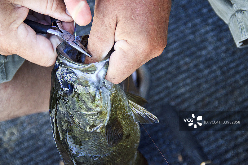 从鱼嘴里取出鱼钩图片素材
