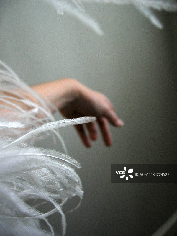 羽毛围巾图片素材