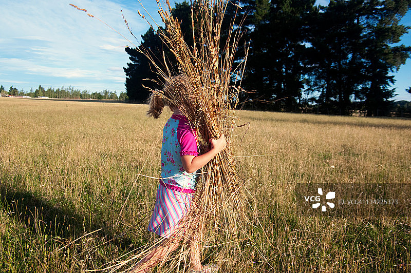 干草运送图片素材