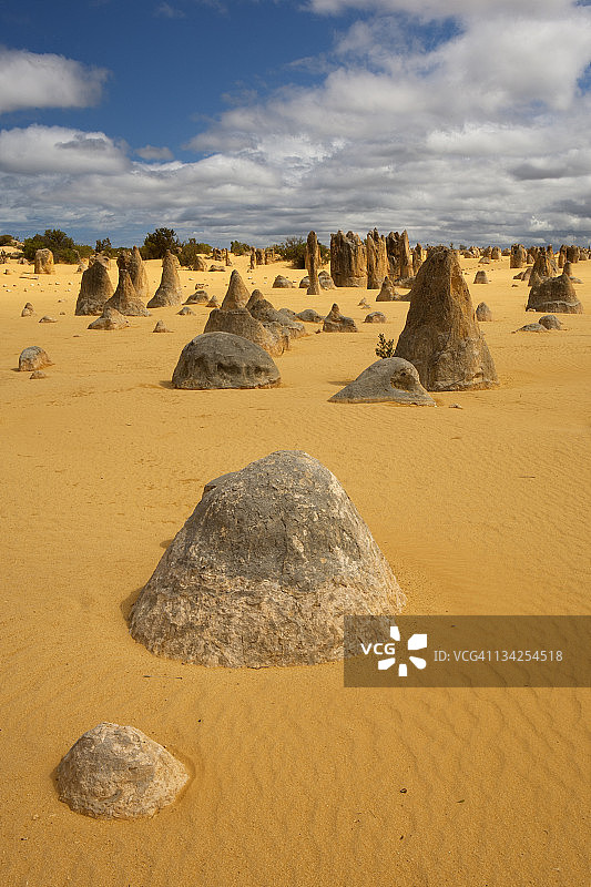 澳大利亚南邦国家公园的尖峰石阵图片素材