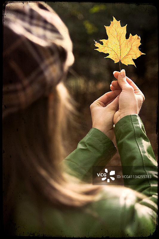 女人拿着秋天的枫叶图片素材