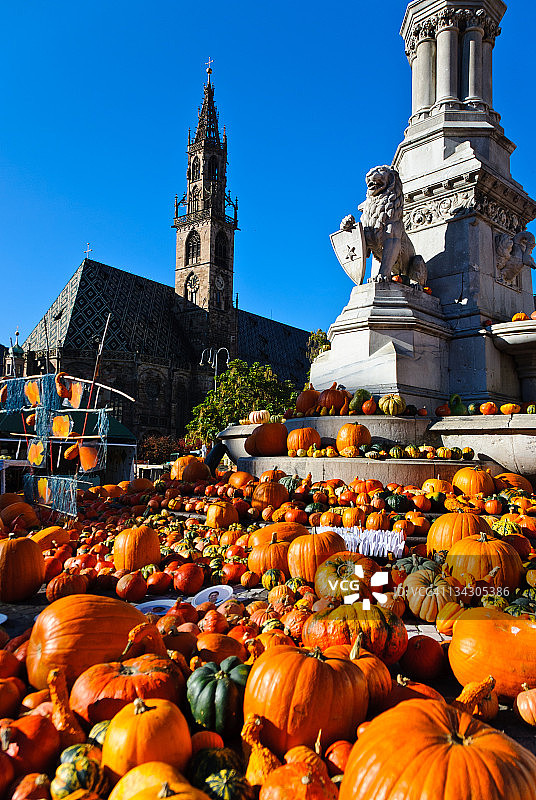 博尔扎诺的南瓜图片素材