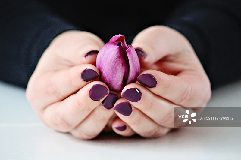 手持紫色花蕾图片素材