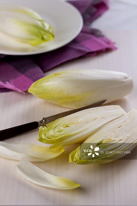 比利时菊苣图片素材