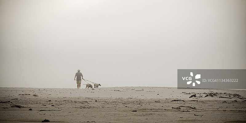 男子在雾天的海滩上遛两只斑点狗，前景是水，海滩上有干燥的海带，地点：南非西开普省开普敦诺德霍克海滩图片素材