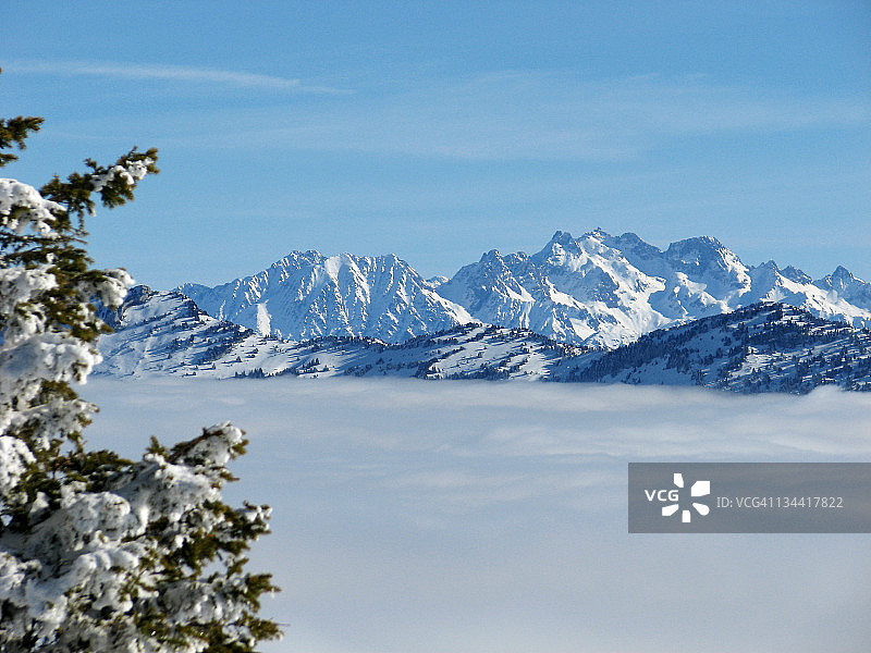 Charmant Som图片素材