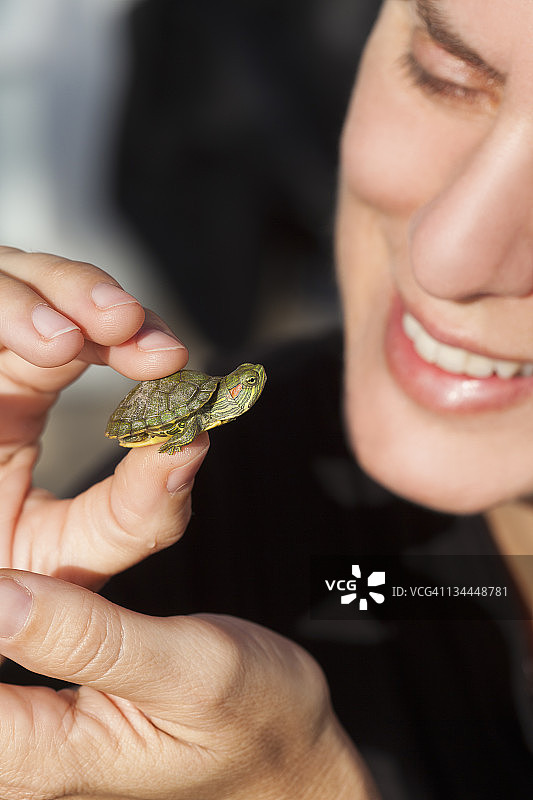 女人拿着一只红耳龟图片素材