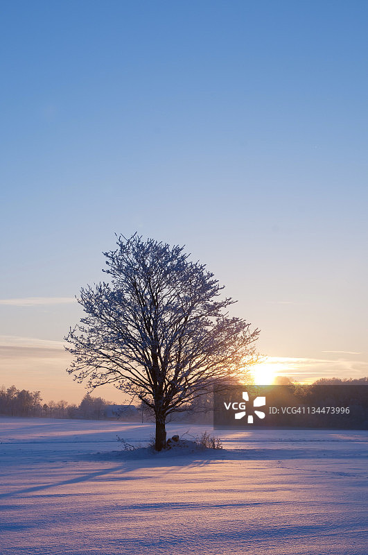 德国下萨克森州冬季雪景日落图片素材