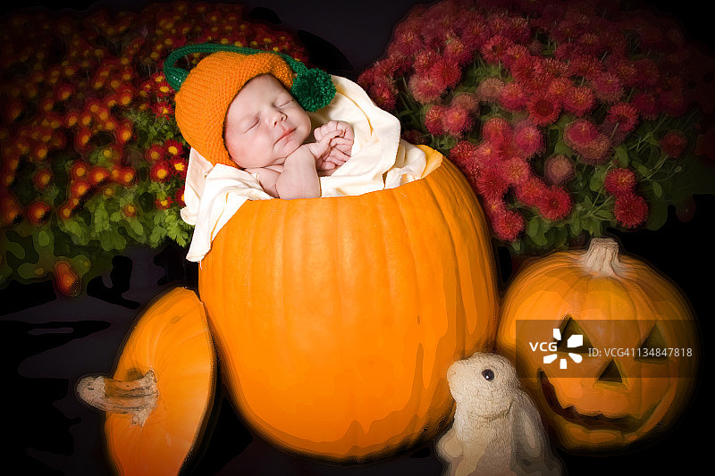 在南瓜里的婴儿图片素材
