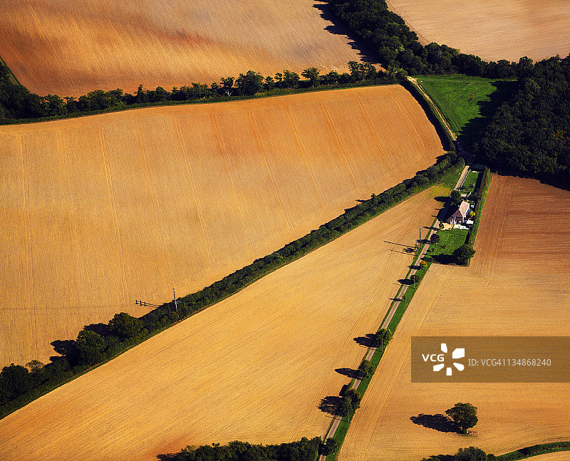 玉米田图片素材