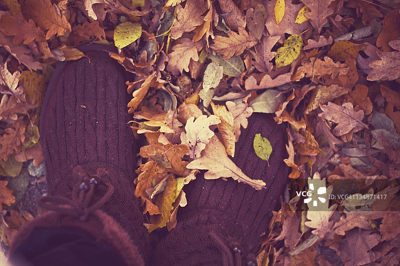 落叶中的靴子图片素材